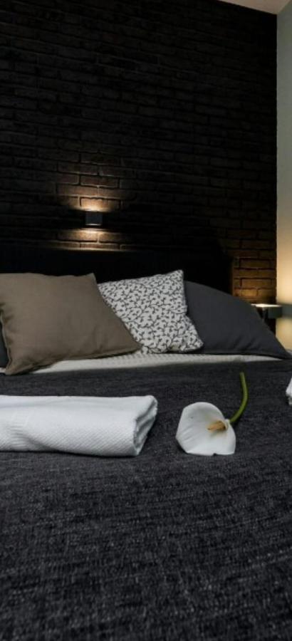 بلغراد Winer A Apartments المظهر الخارجي الصورة